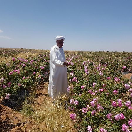 Kasbah Ait Kassi Hotel Boumalne Kültér fotó