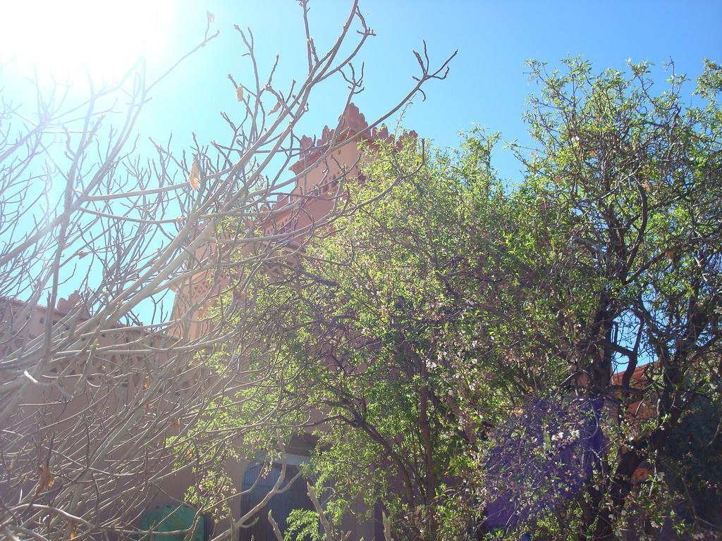 Kasbah Ait Kassi Hotel Boumalne Kültér fotó